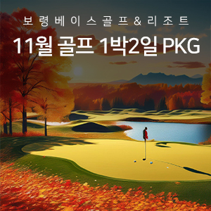 11월 골프 PKG