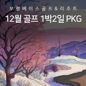 12월 골프 PKG