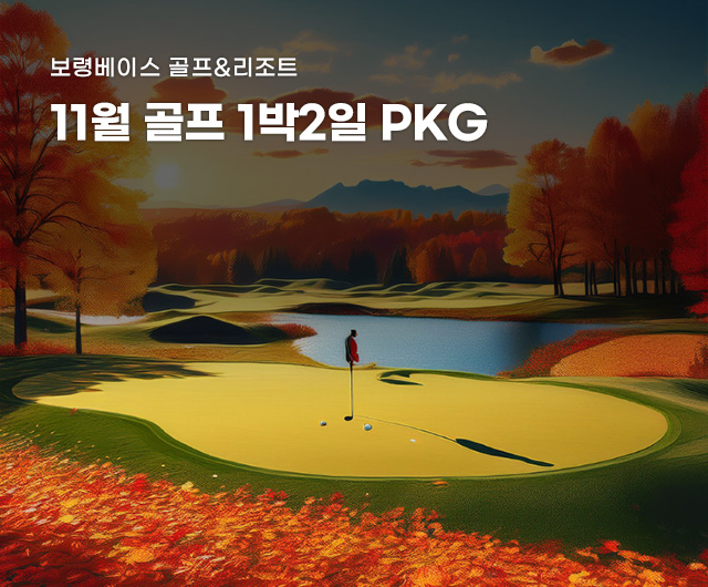 2025년 11월 골프 PKG
