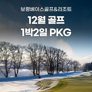 12월 패키지